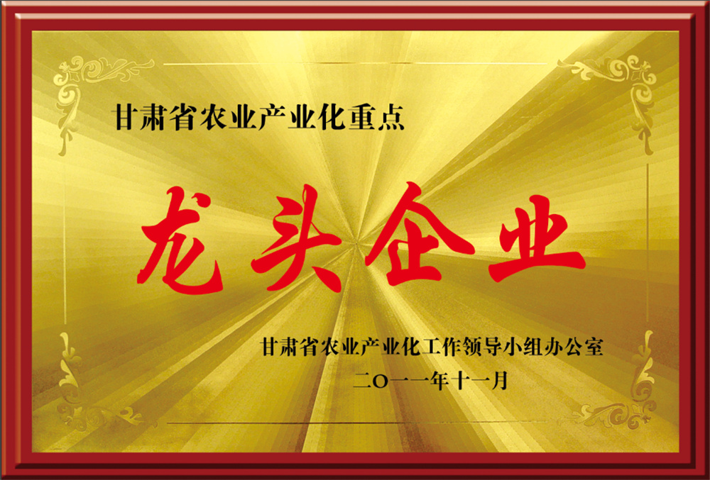 8-Key leading enterprises in Gansu Province
